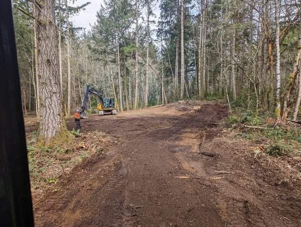 A construction vehicle is driving down a dirt road in the woods.