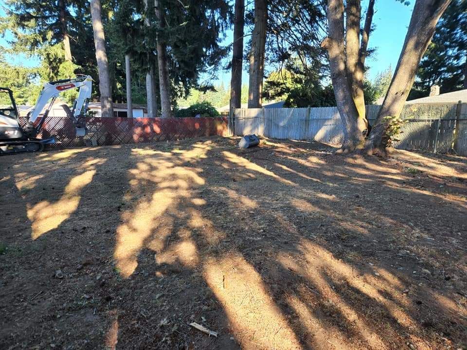A dirt yard with trees and a fence in the background