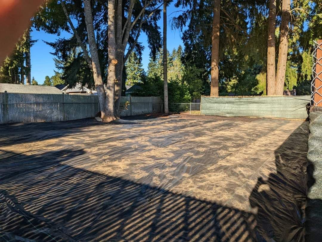 A person is taking a picture of a dirt field with trees in the background.