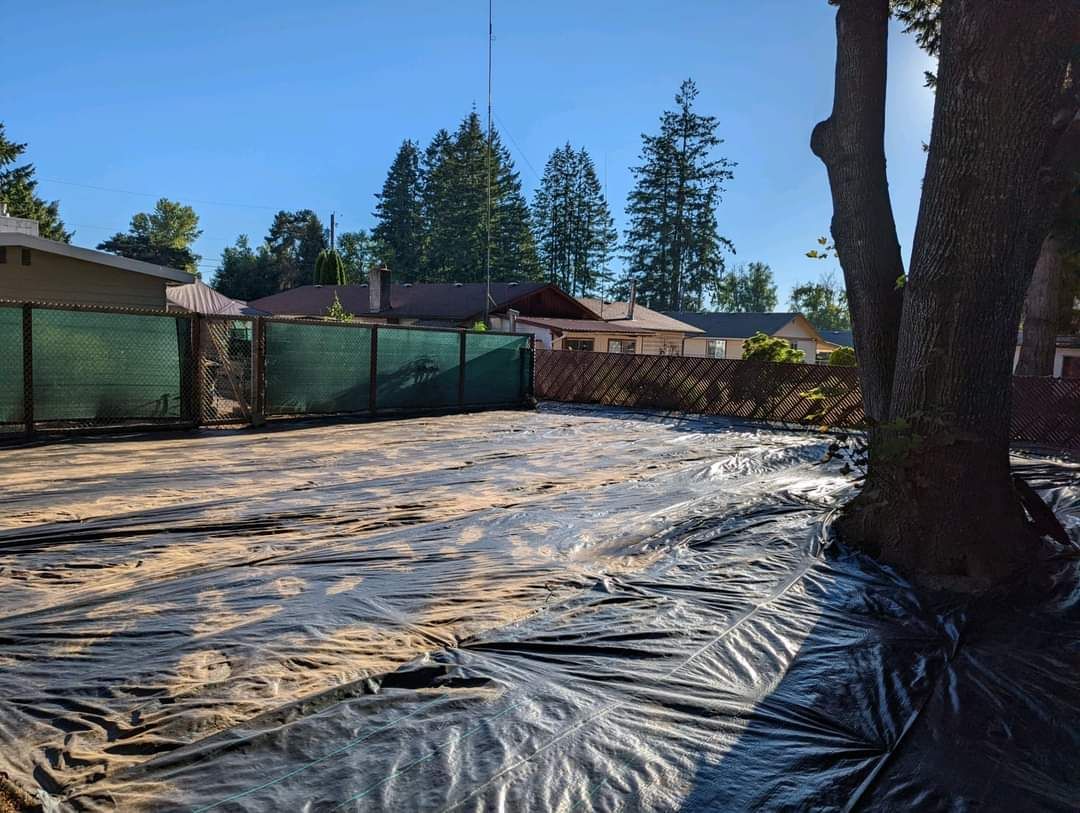 A tree is standing in the middle of a dirt field covered in plastic -  Shelton, WA - D&T Excavating LLP
