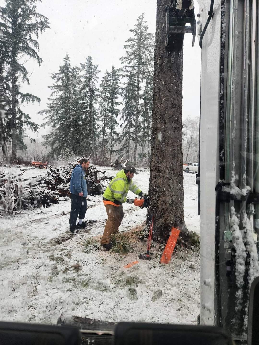A Man Is Cutting A Tree With A Chainsaw In The Snow -  Shelton, WA - D&T Excavating LLP