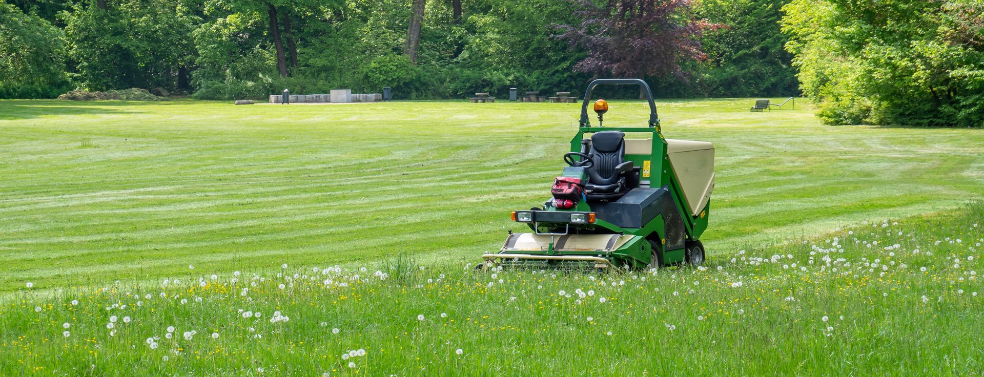 A green lawnmower fertilizing a large green lawn on a sunny day. Trees are in the background.