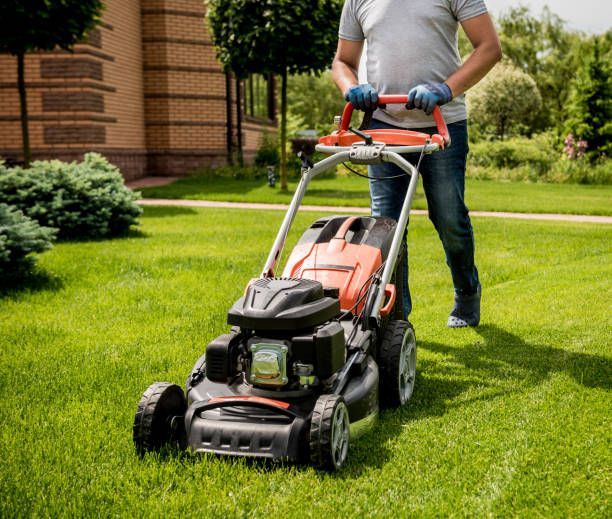 Man mowing green grass with a lawnmower in a sunny backyard.