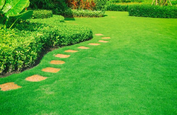 A lush green lawn with a stone pathway winding through it, surrounded by hedges.