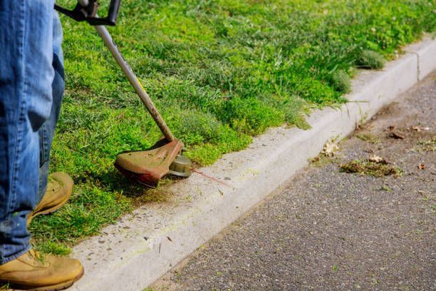 Person using a string trimmer to cut grass along a curb.