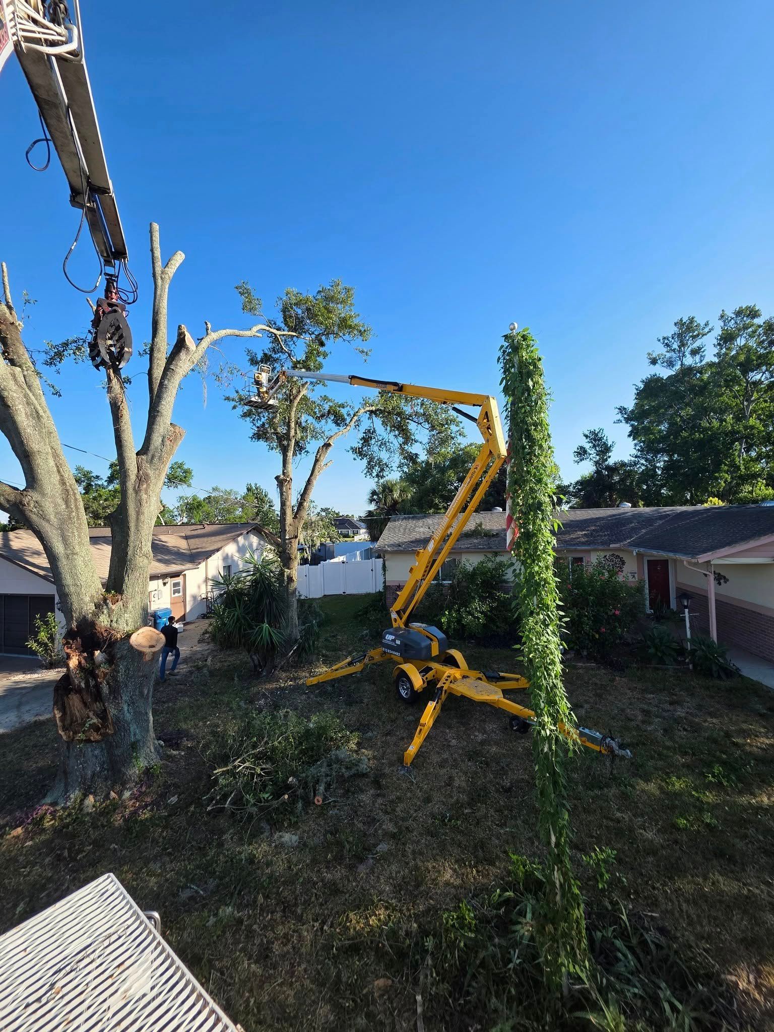 Yellow crane trimming tree in suburban yard; blue sky.