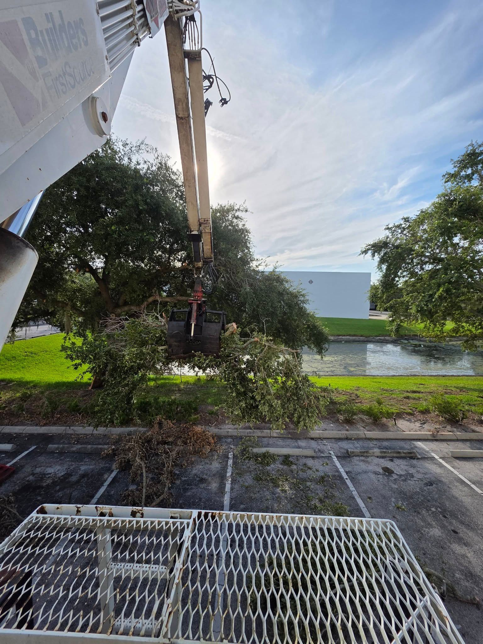 A mechanical arm trimming a tree over a parking lot, with sunlight and a building in the background.