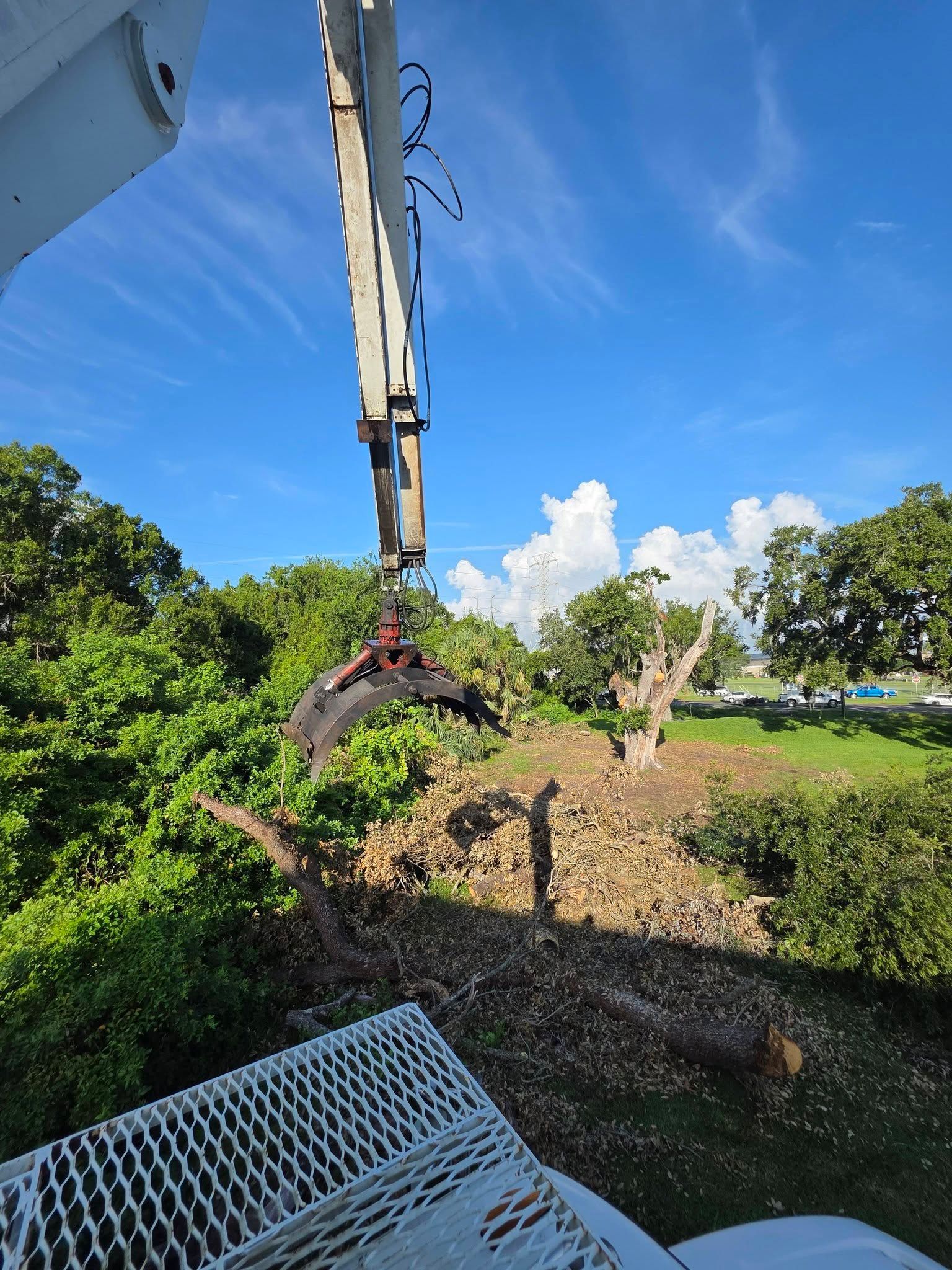 Crane arm gripping cut tree limbs near greenery, blue sky.
