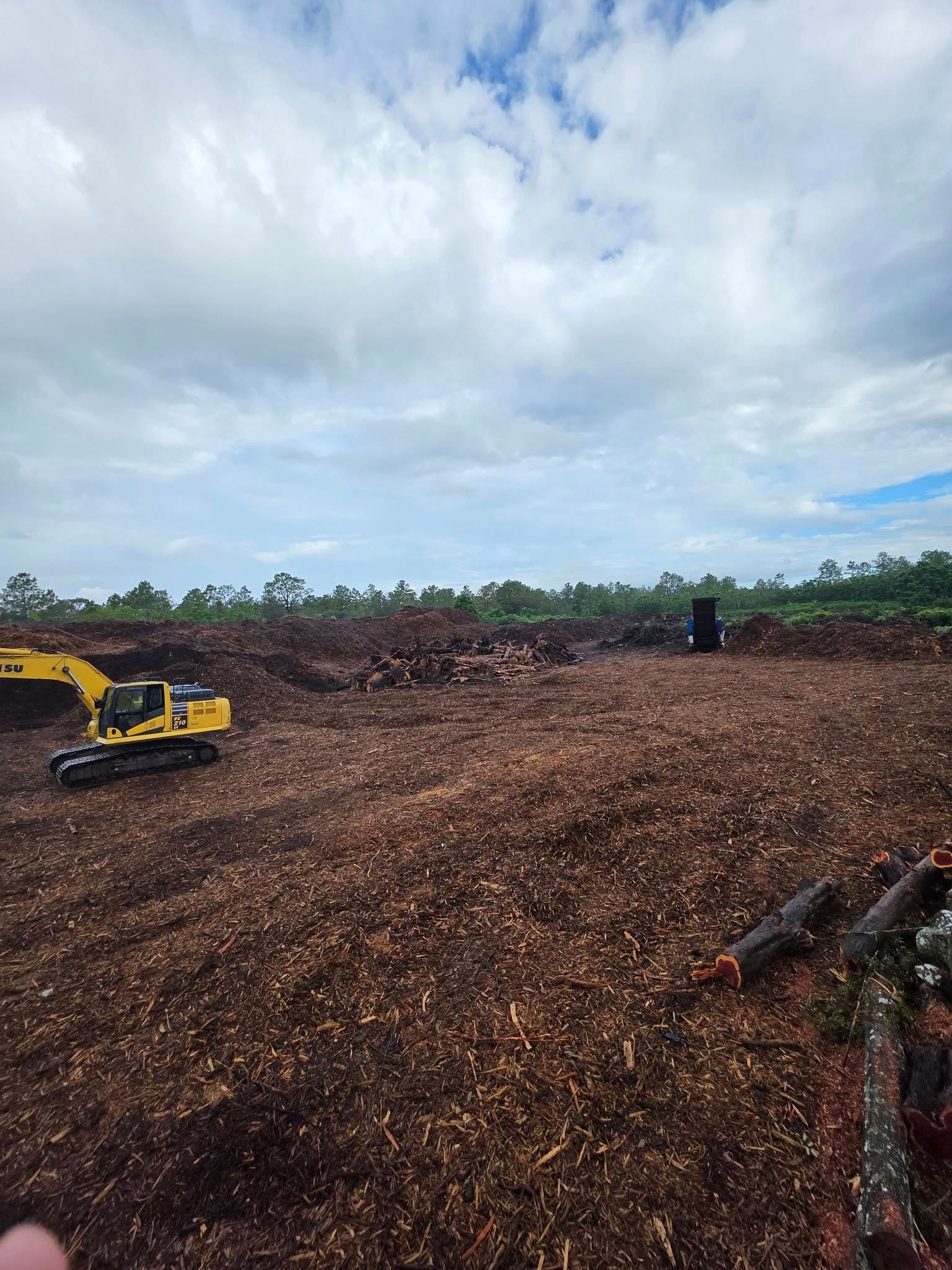 Yellow excavator on a large pile of wood chips in a deforested area under a cloudy sky.