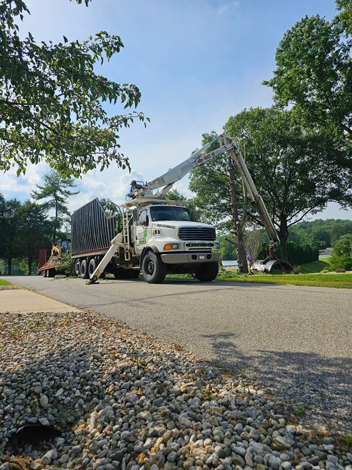 Truck with a boom trimming a tree on a sunny day.