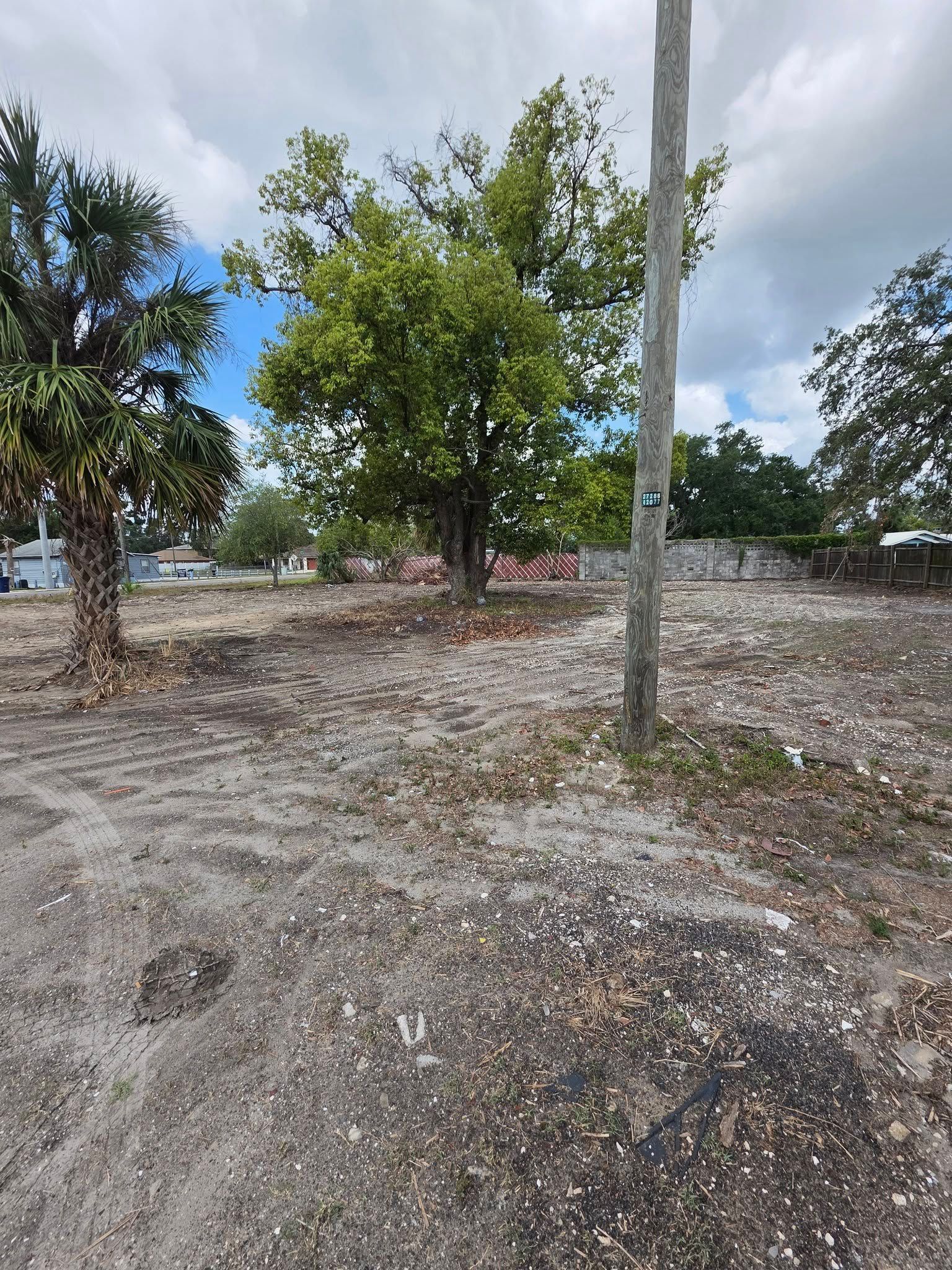 An empty lot with scattered debris, a tree, and a utility pole under a cloudy sky.