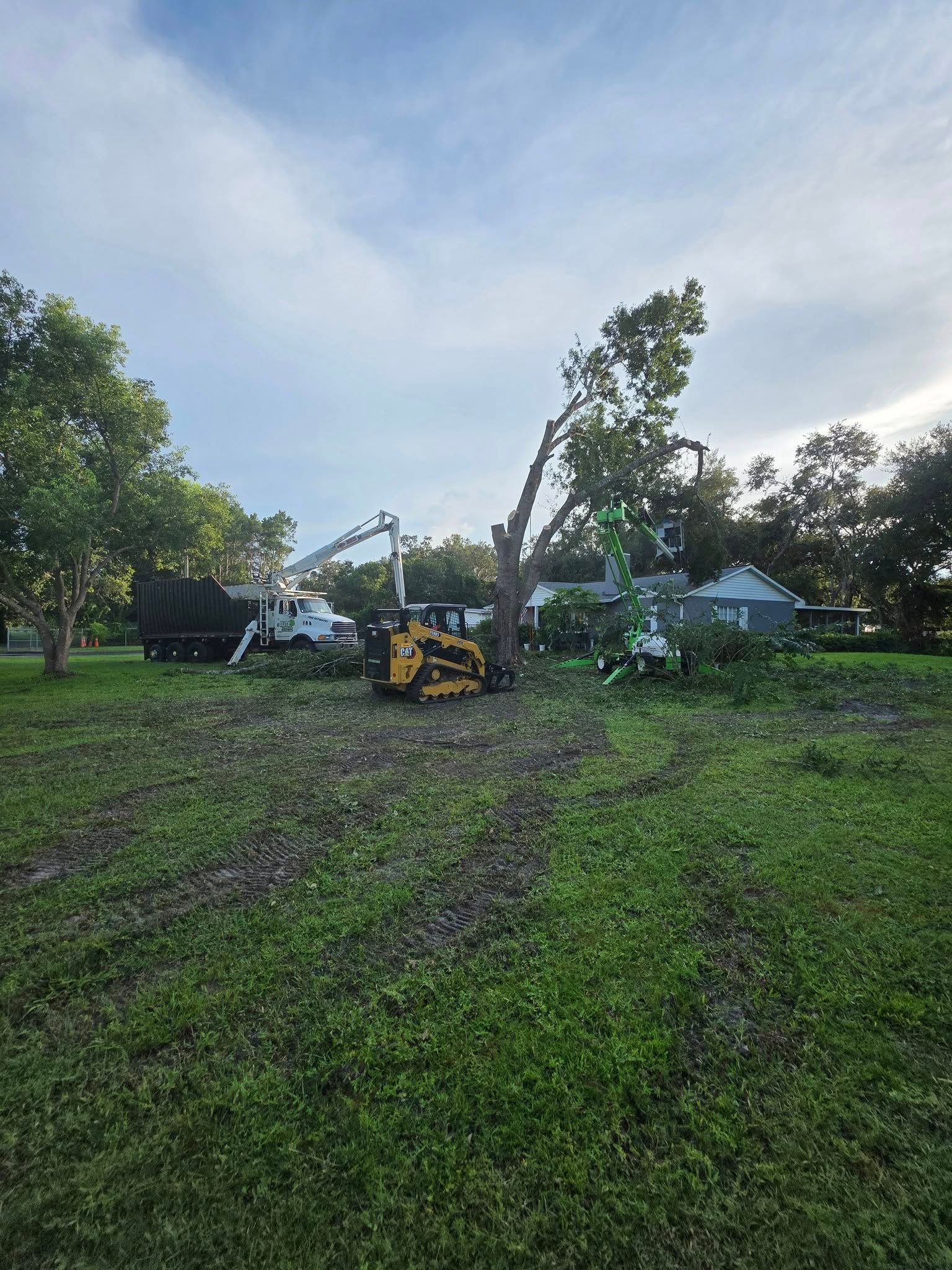 Tree removal: A tree being cut down by machinery in a grassy yard.