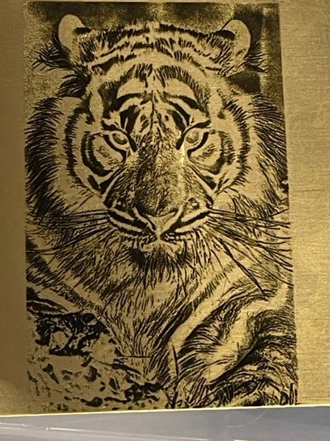 A black and white drawing of a tiger 's face