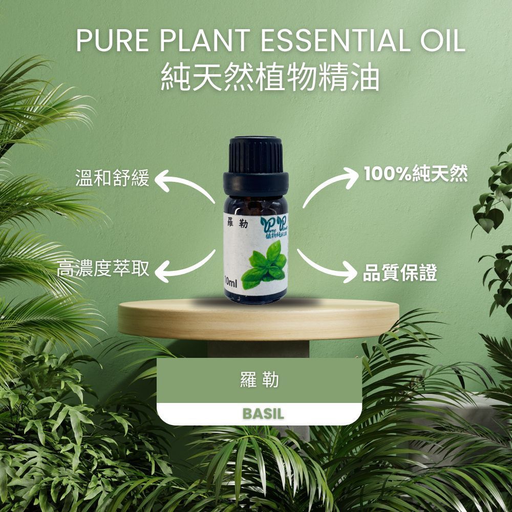 【PURE PLANT】純天然植物精油 (羅勒)