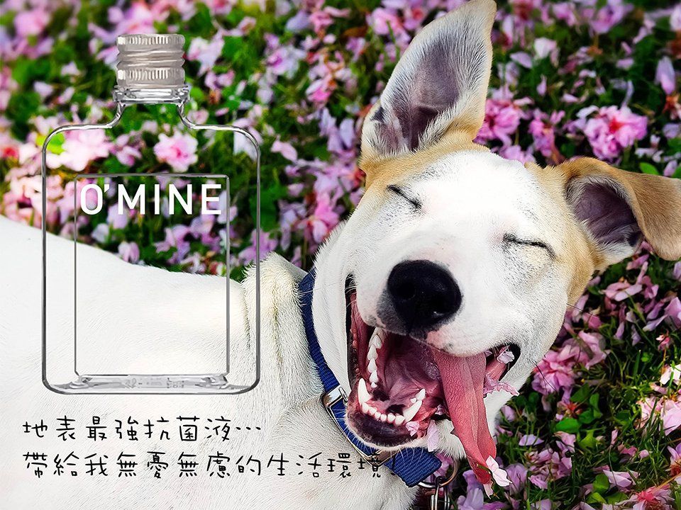 O'MINE 天然銅離子銅離子全方位抗菌液 250ML *2入組 (無噴頭)◈安全防疫消毒抗菌首選◈毛小孩專用(犬貓適用)(精選)