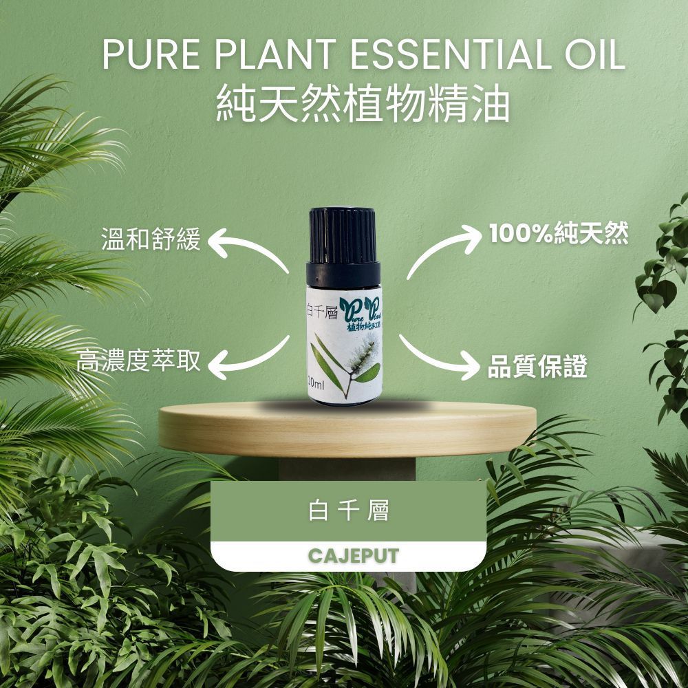 【PURE PLANT】純天然植物精油 (白千層)