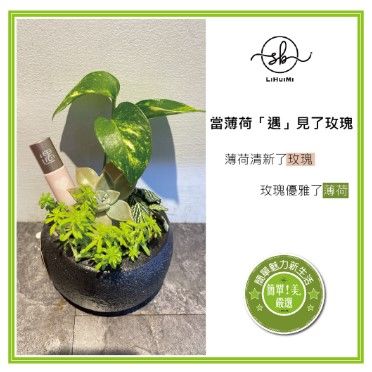 簡單！美。遇精油