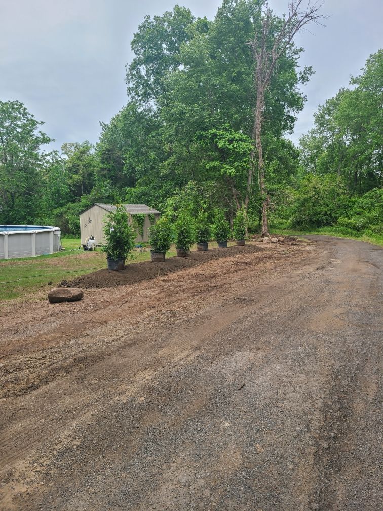 A dirt road with trees on the side of it and a house in the background.