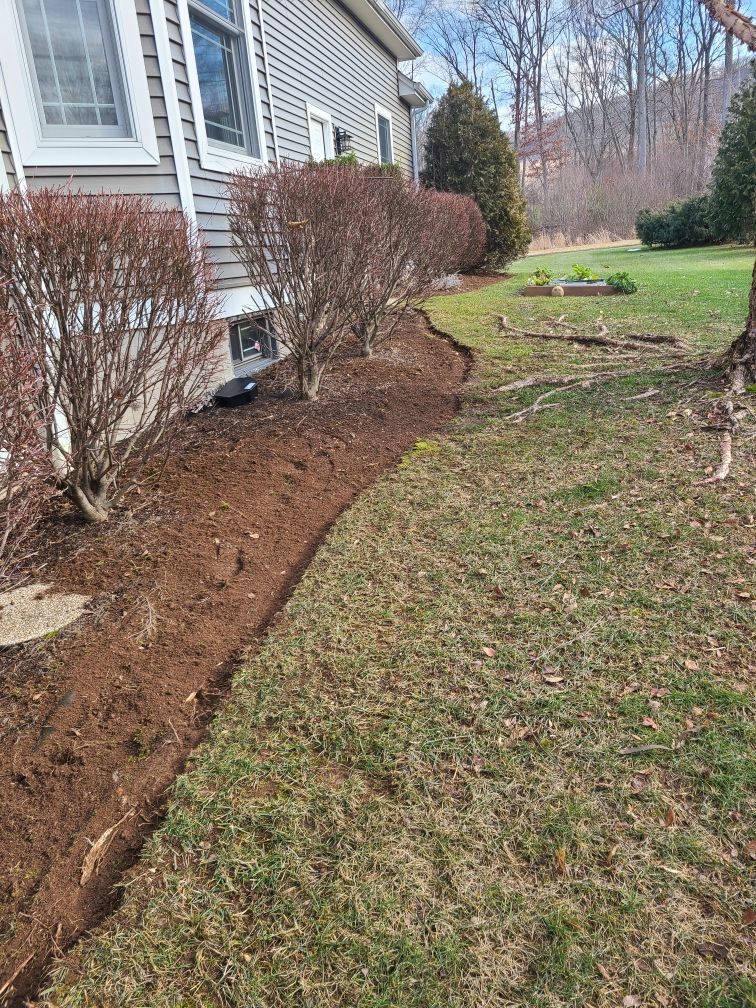 There is a house in the background and a lawn in the foreground.