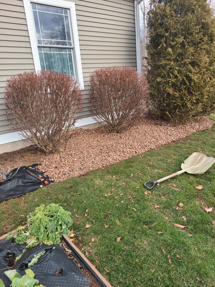 A shovel is sitting on the grass in front of a house.