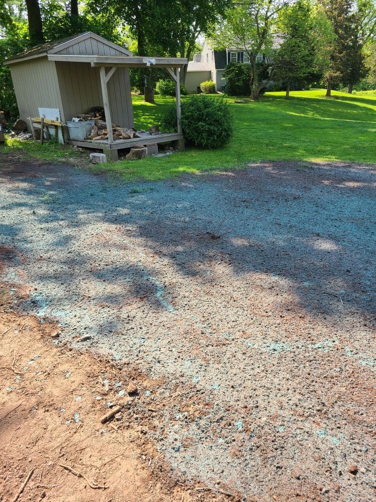 A shed is sitting in the middle of a dirt driveway.