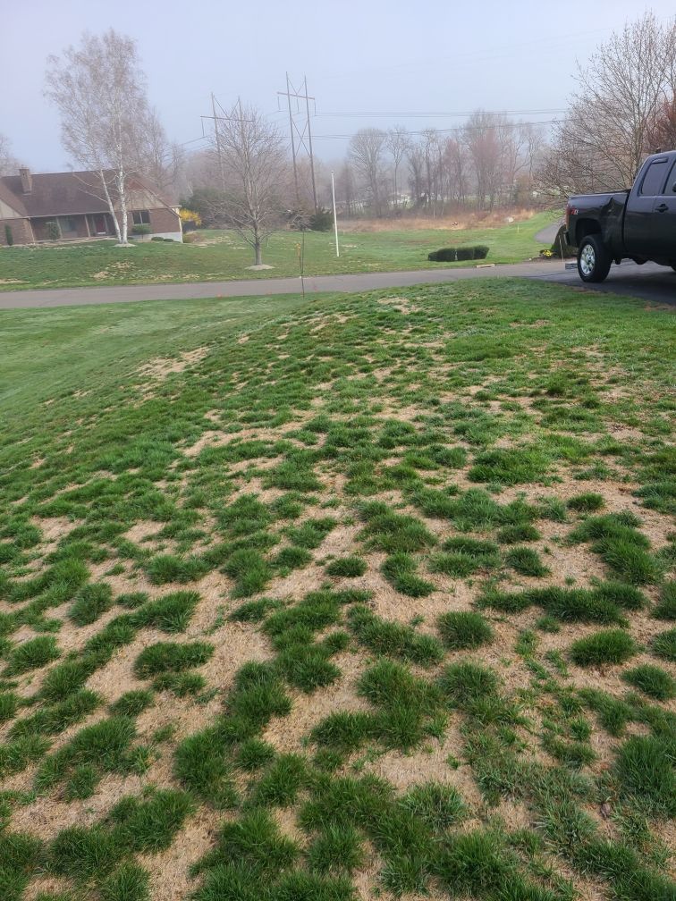 A truck is parked in a grassy field next to a road.