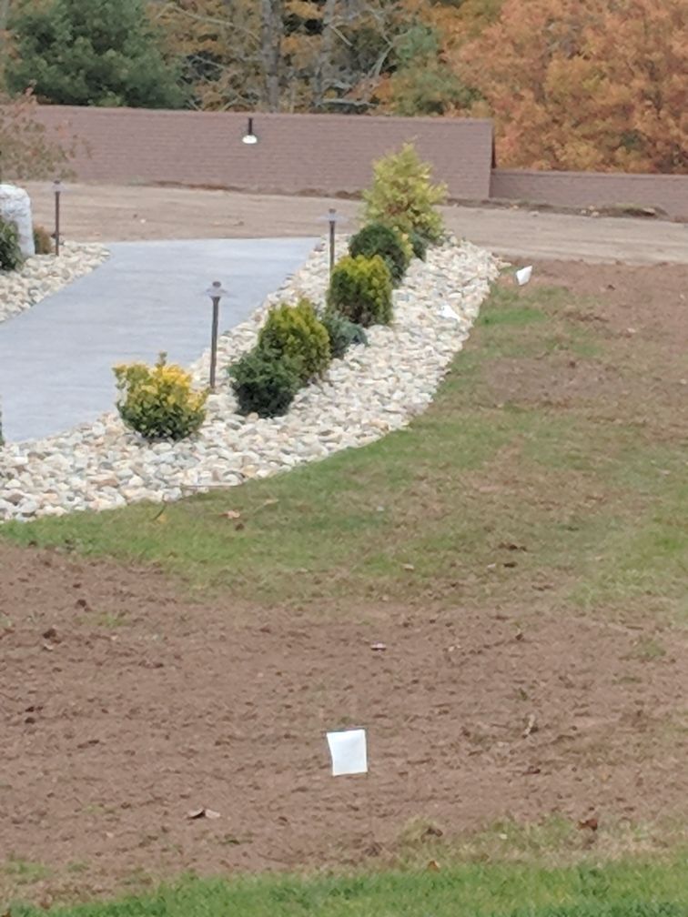 A lawn with a concrete walkway going through it