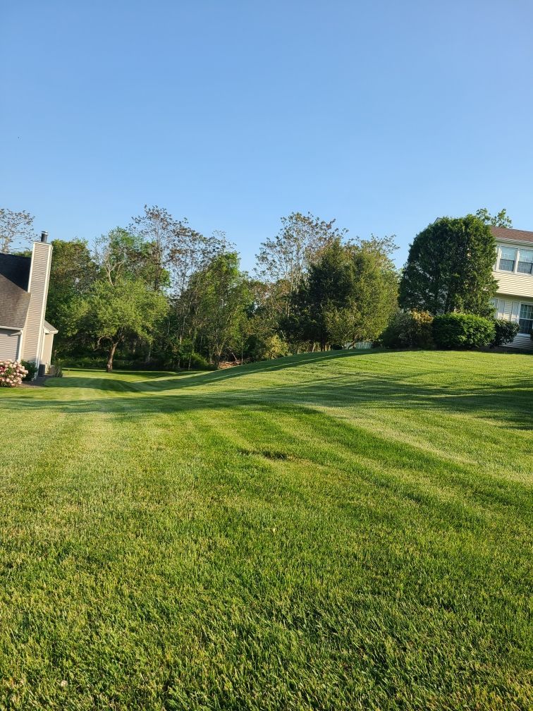 A large lush green lawn with a house in the background.