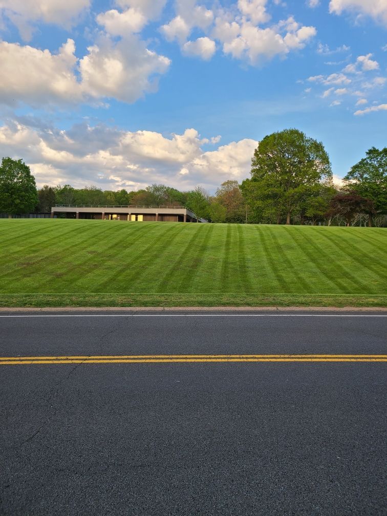 A lush green field with a house in the background and a road in the foreground.