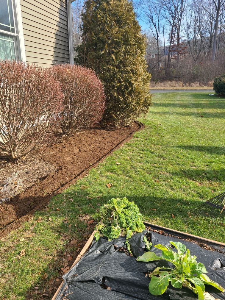 A garden bed with plants and mulch in front of a house.