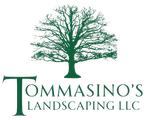 The logo for tommasini 's landscaping llc shows a tree with no leaves.