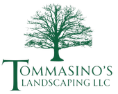 The logo for tommasini 's landscaping llc shows a tree with no leaves.