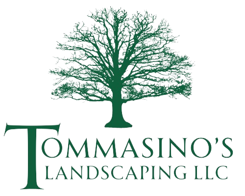 The logo for tommasini 's landscaping llc shows a tree with no leaves.