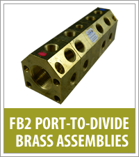 fb2 port to divide brass