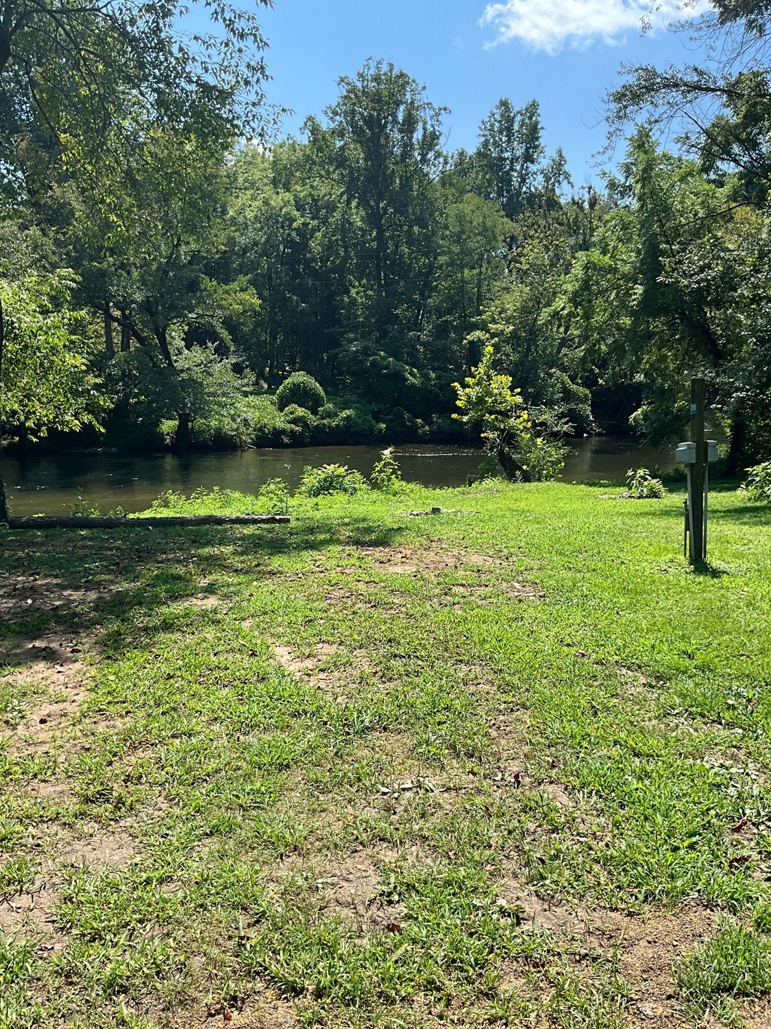 Grassy area near a dark river, surrounded by green trees under a blue sky.