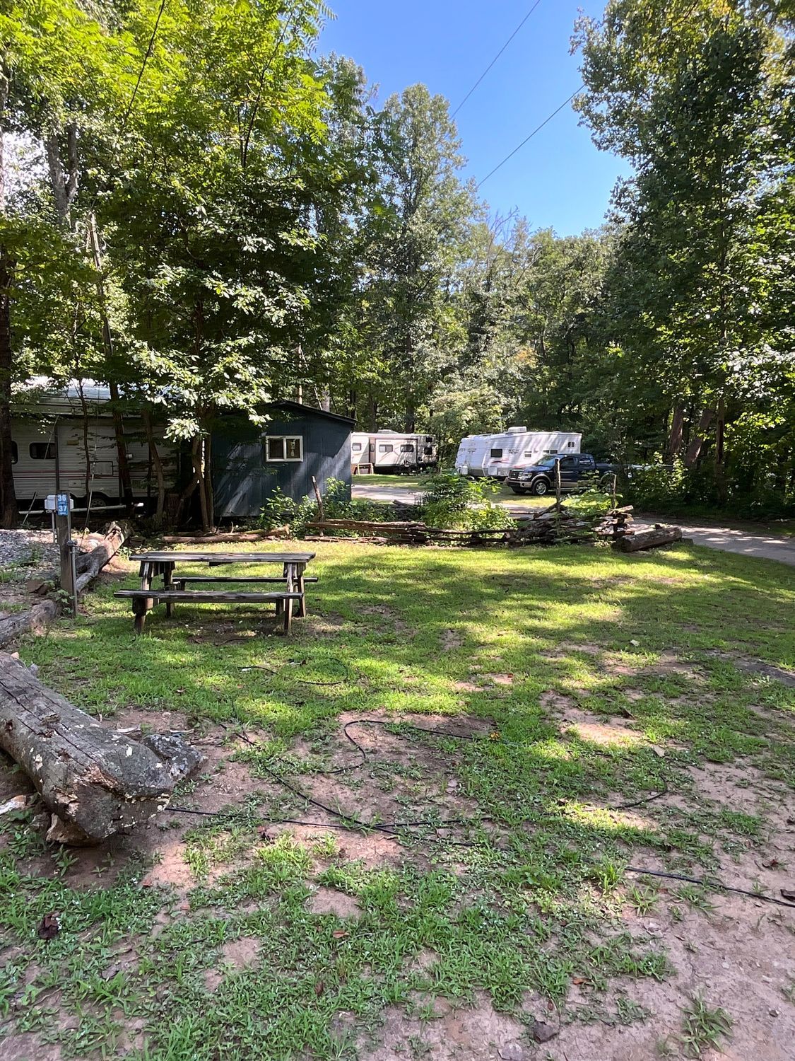 A campsite with a picnic table in the foreground, surrounded by trees and RVs under a blue sky.