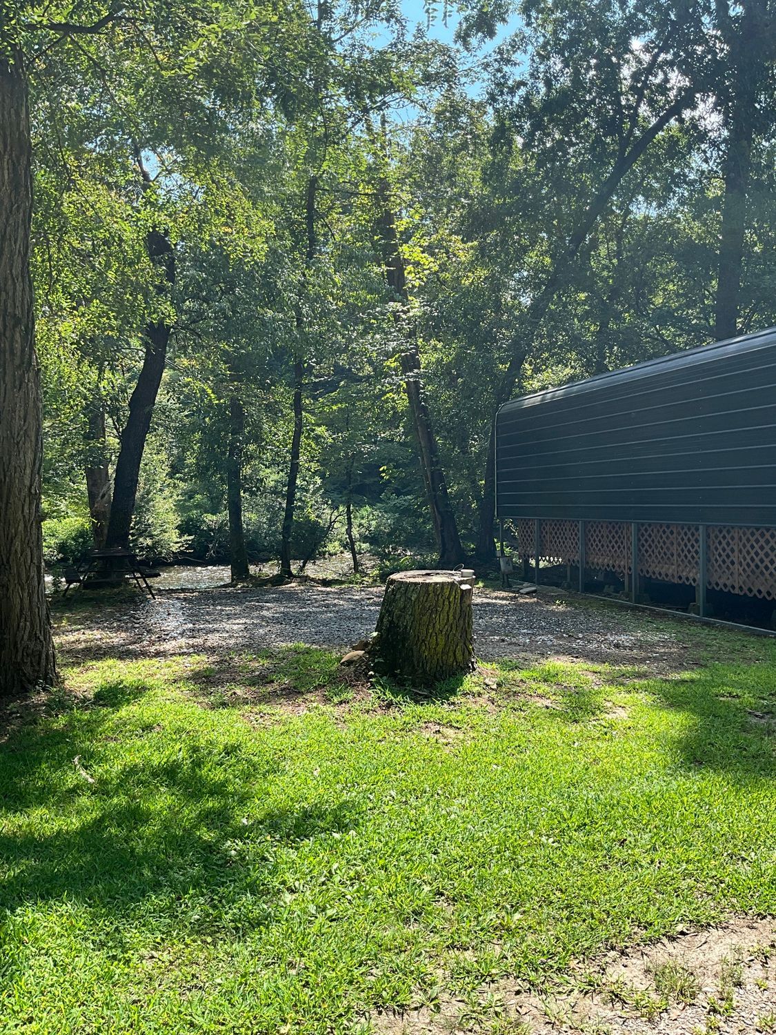 Green grassy area with a tree stump, trees in the background, and part of a building to the right.