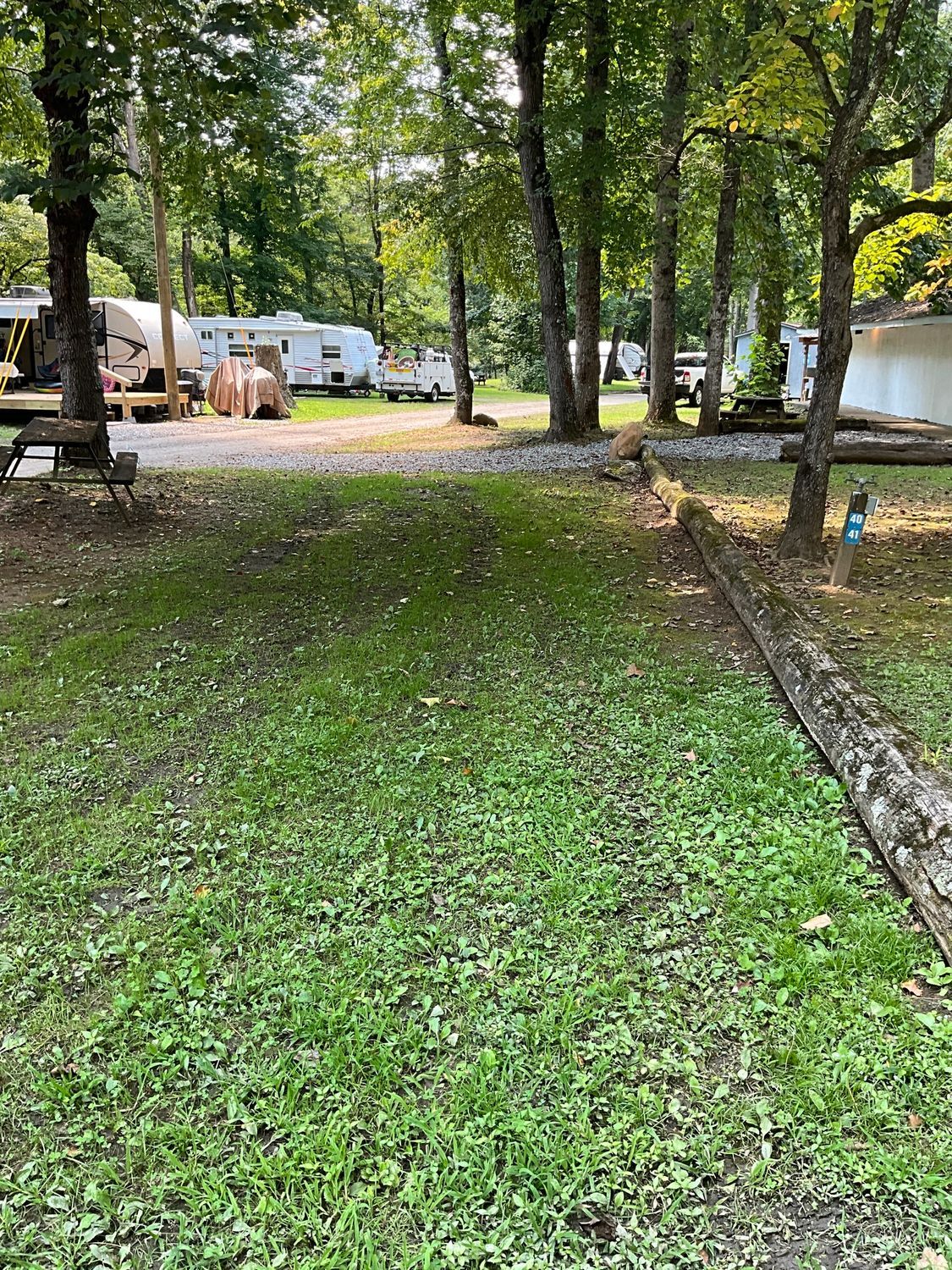 Campground with RVs parked among trees. Green grass covers the ground.