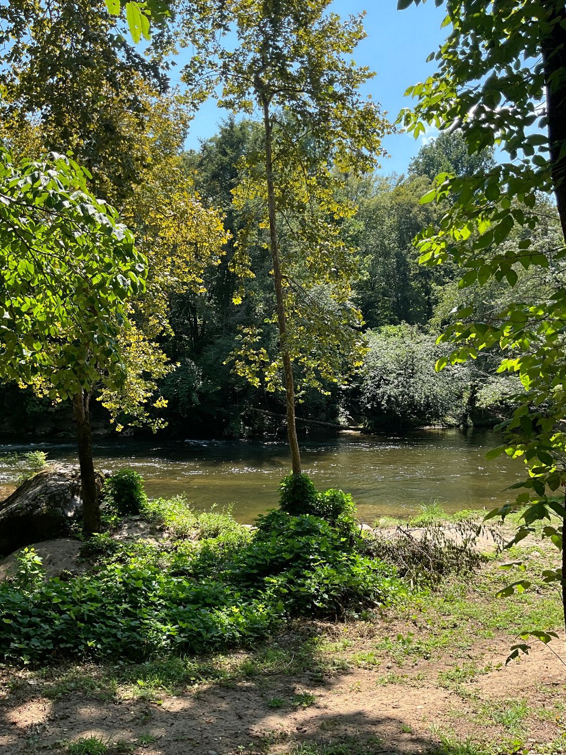 A river flows through a park, surrounded by green trees and foliage on a sunny day.
