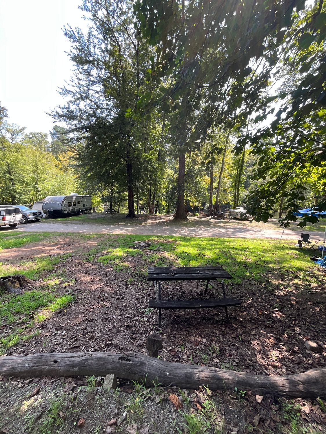 Picnic table in campground, RVs and cars in background, trees, sunny.