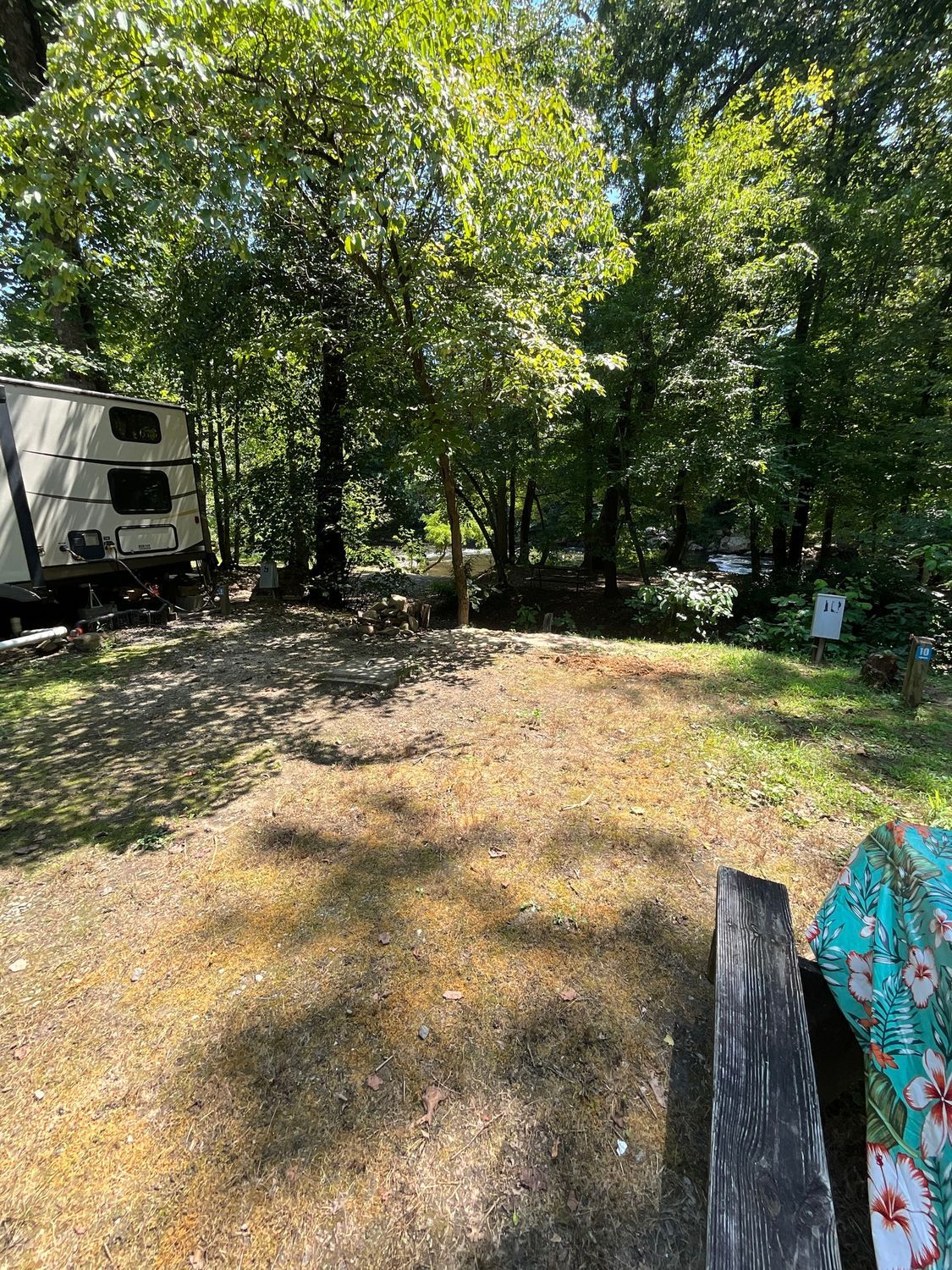 A dirt clearing with a trailer and trees in the background. Sunny day with dappled shadows.