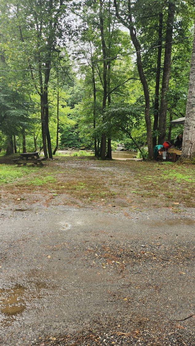 Gravel ground leads to a clearing in a forest with green trees, possible campsite.