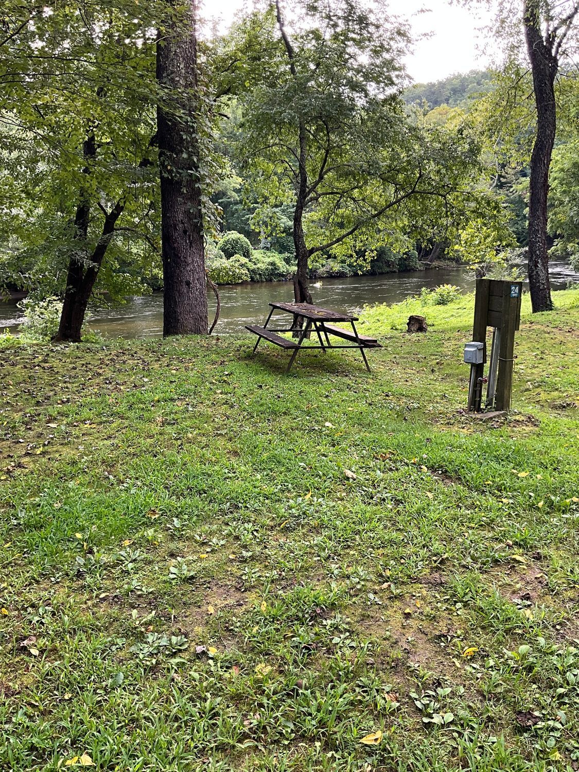 Picnic table by a river in a grassy area with trees, likely a campsite.