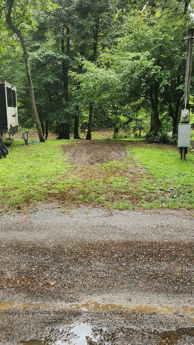 Grassy driveway leading to trees in a wooded area; a gray utility box stands on the right.