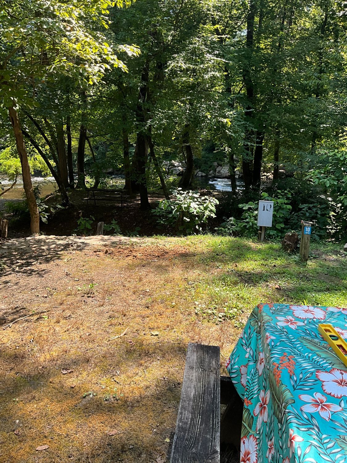 Picnic table with blue tablecloth in front of a grassy campsite, trees in the background, a river.