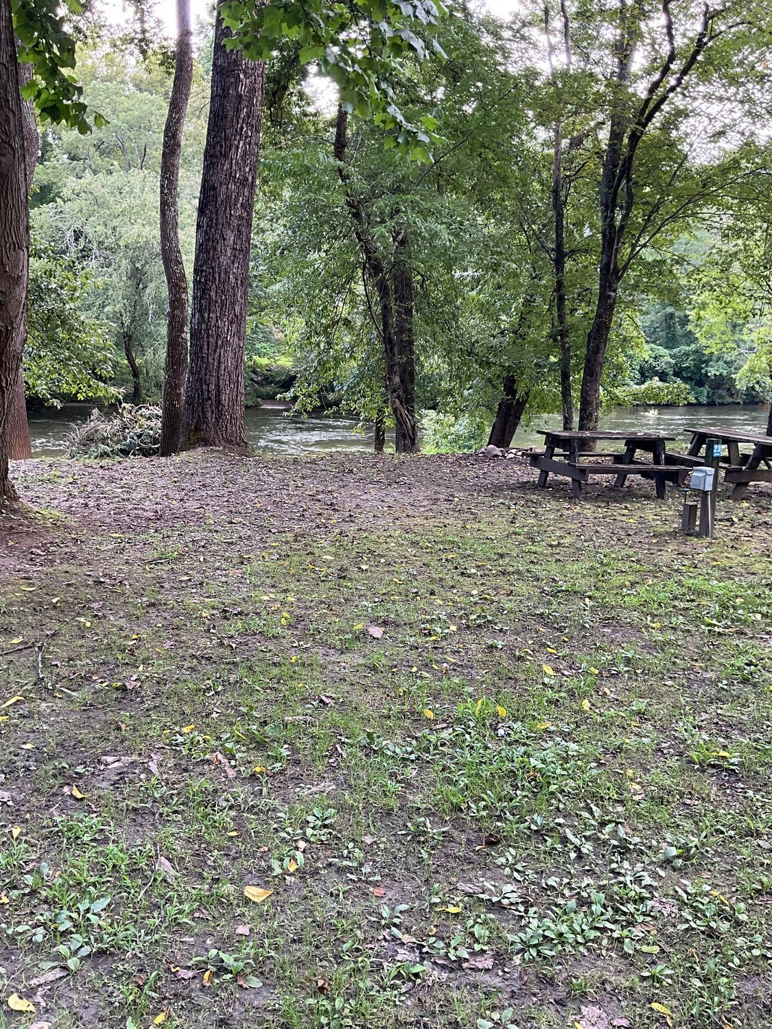 Grassy park area with picnic tables near a stream and trees.