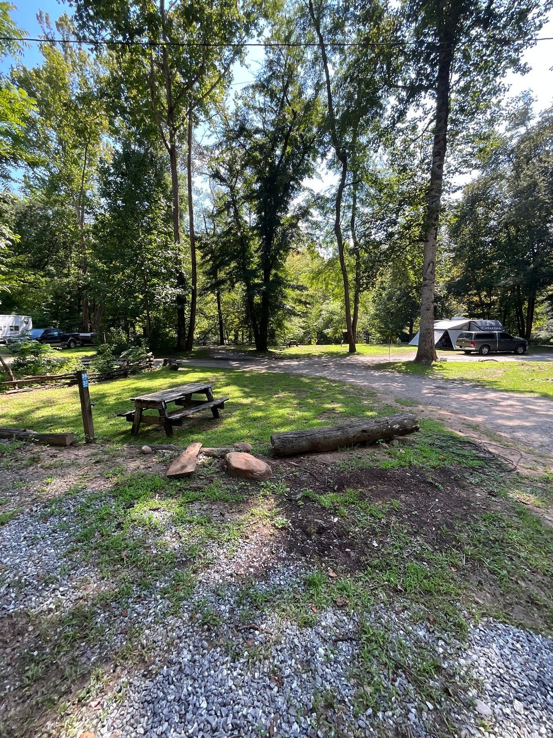 Campsite with picnic table, logs, and trees. Gravel ground.