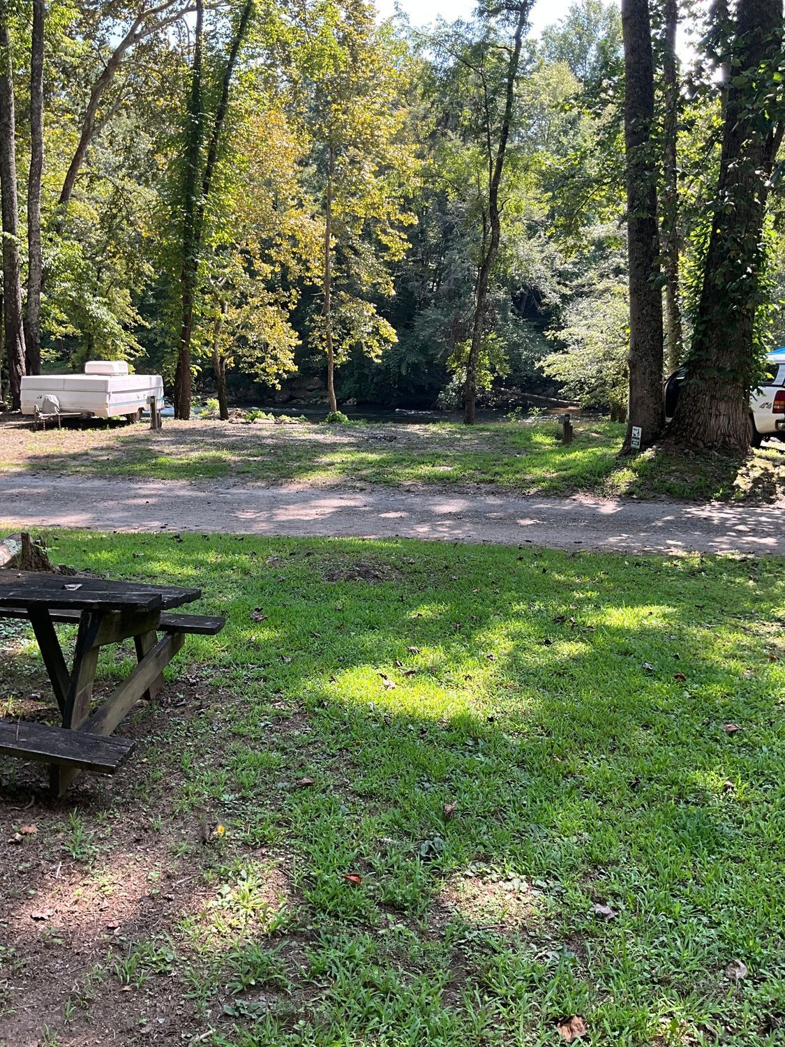 Grassy campsite with picnic table, trees, and a trailer in the background.