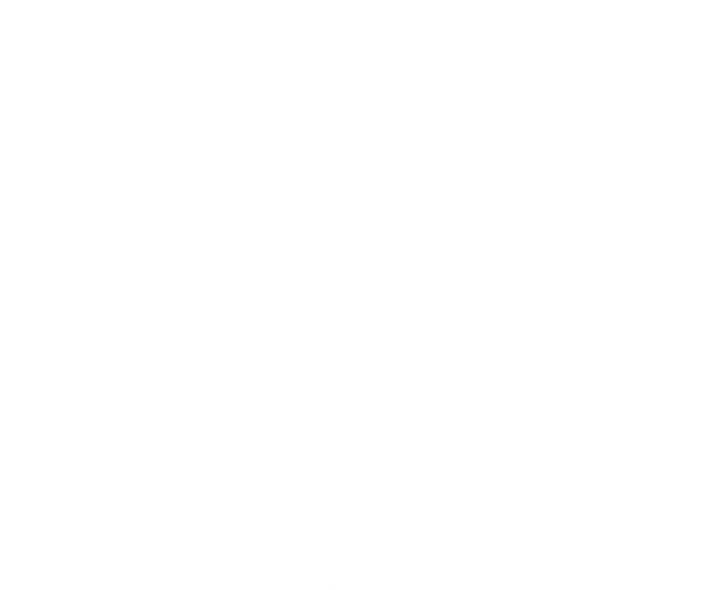 Empty white space.