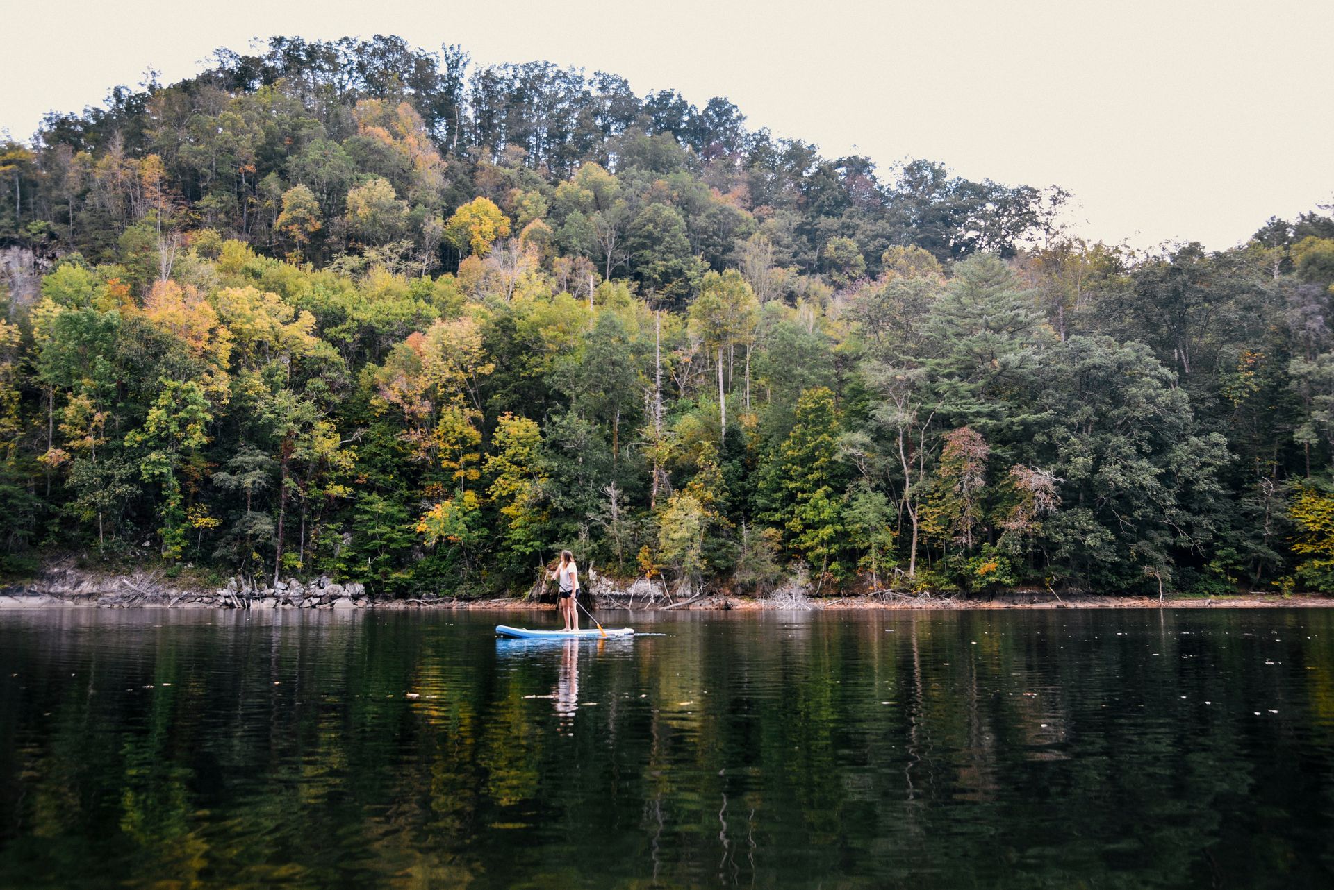 Person paddleboarding on a calm lake, surrounded by a forested shoreline.